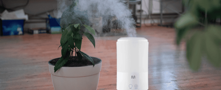 Alergias Respiratórias: Cuidados com o Ar Seco e Ambientes Fechados