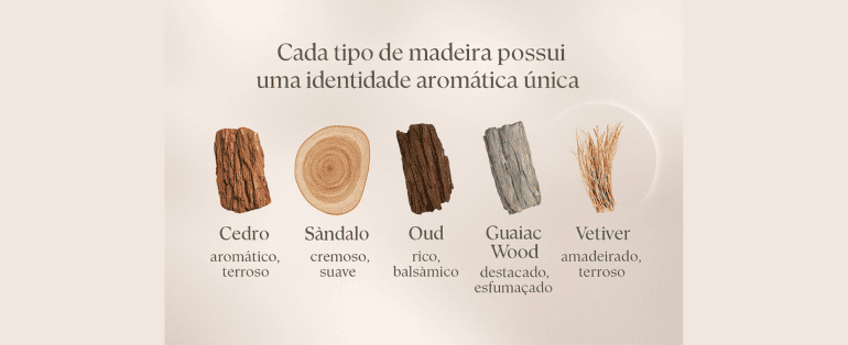 Tipos de Notas Amadeiradas: Do Terroso ao Cremoso