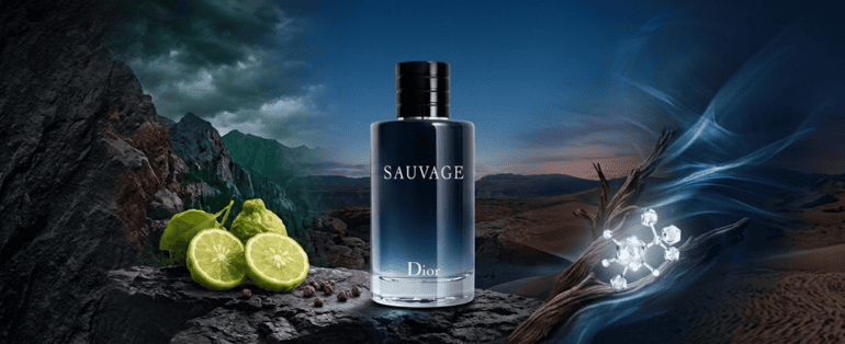 Conhecendo o Dior Sauvage Eau de Toilette